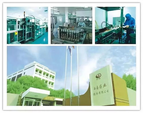 改革開放四十年 沙坪壩工業發展與網絡技術的融合創新